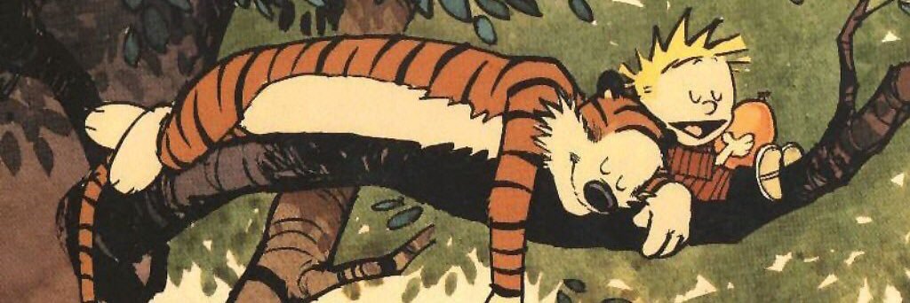 MTMLLR's profile banner image