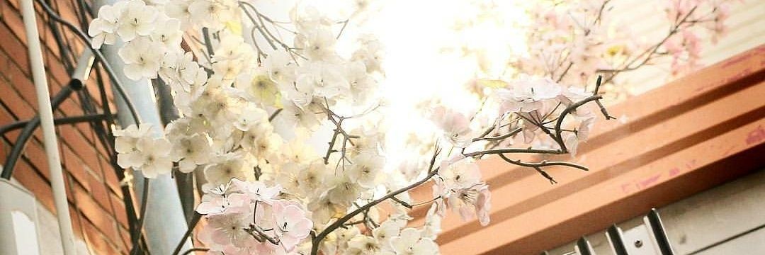 AnaMellark23's profile banner image