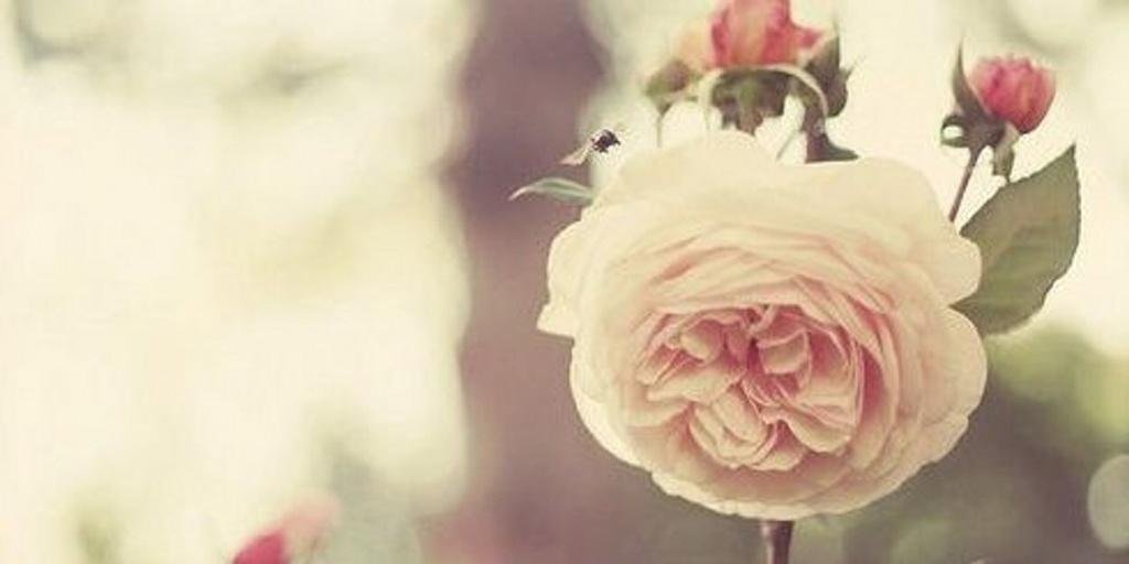 seokkuma's profile banner image