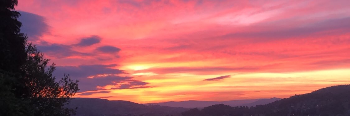 libby_rayner's profile banner image
