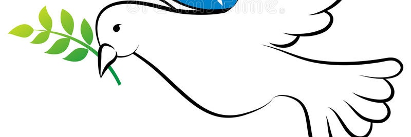 Twinkle_81's profile banner image