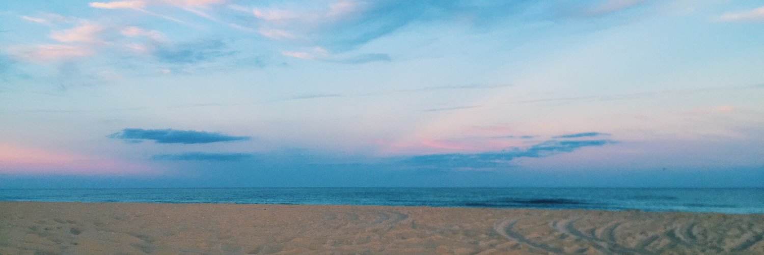 julieferrelli's profile banner image