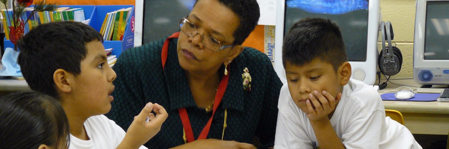 Constitutional Democracy Project banner