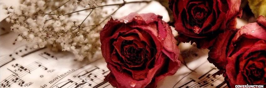 barbjhix's profile banner image