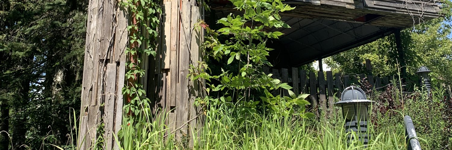 alisondlittle's profile banner image