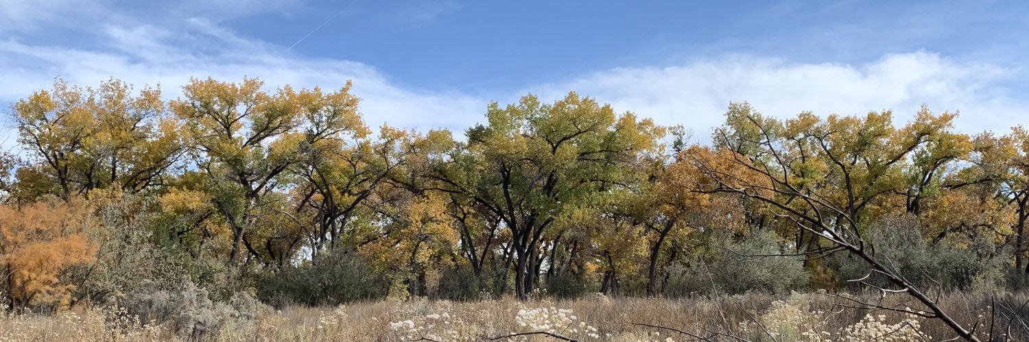 Wolfgang Stehr, MD,MBA,FACS banner