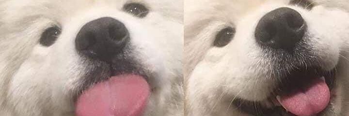 Pioootrek's profile banner image