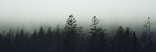LusidelPozo's profile banner image