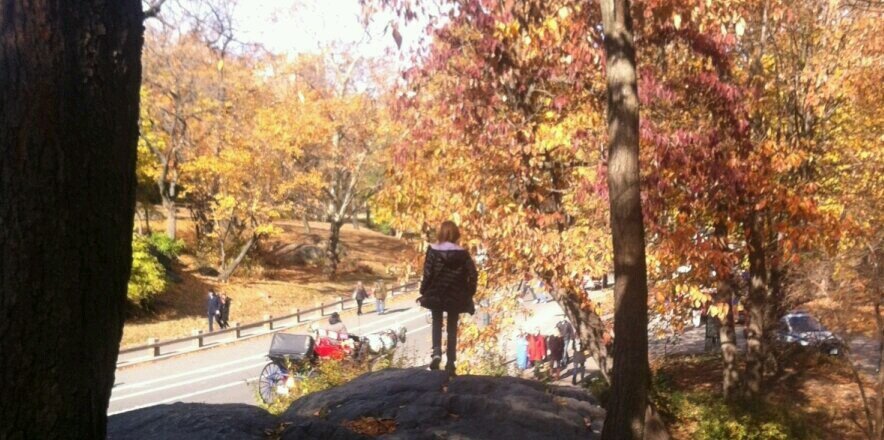 ThePotholeView banner