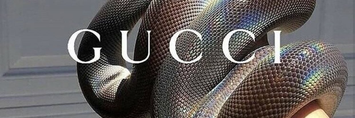 SZLoyan's profile banner image