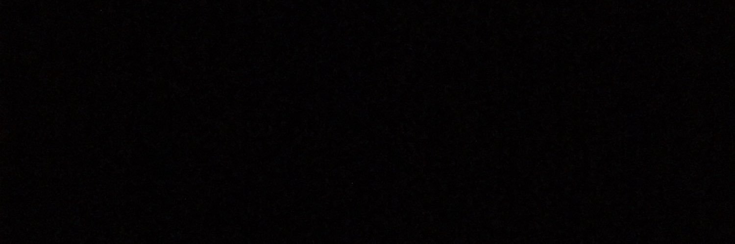 beanssusans's profile banner image