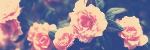 MrsPhillipp's profile banner image