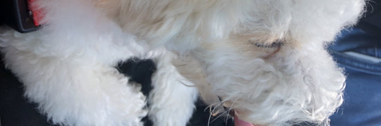 MonseMorales__'s profile banner image