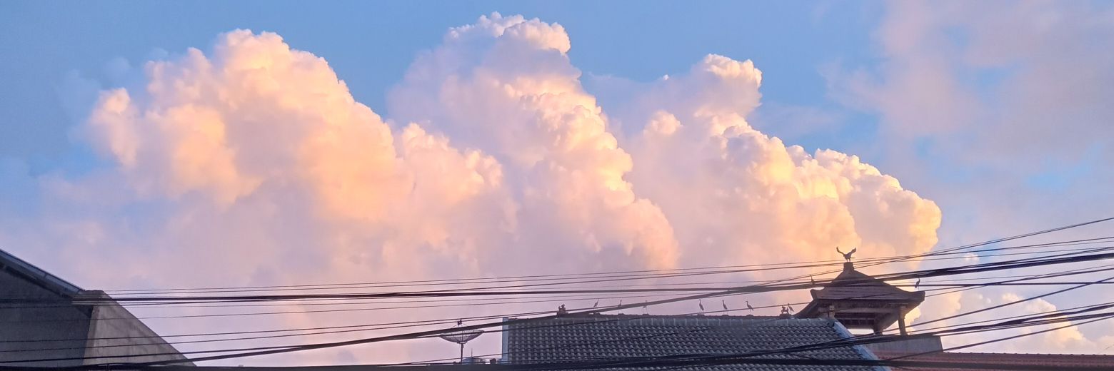 thisisarikoo's profile banner image