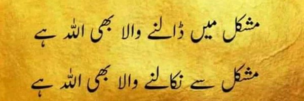 Daultanapk Profile Banner