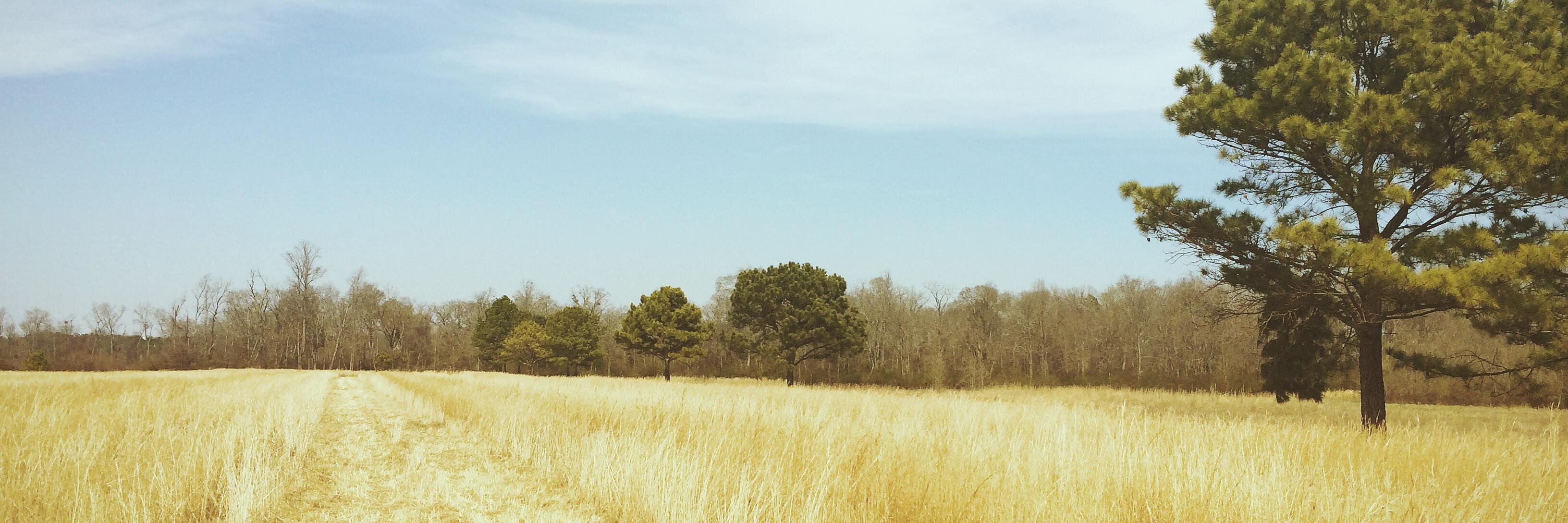 kerishealy's profile banner image