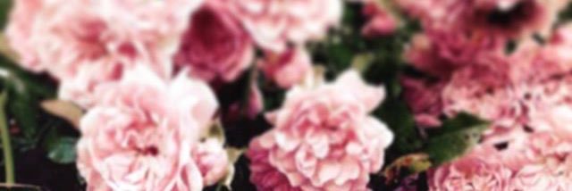belavv's profile banner image