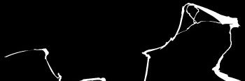 exxlea's profile banner image