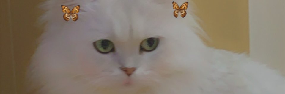 harrietVsmith98's profile banner image