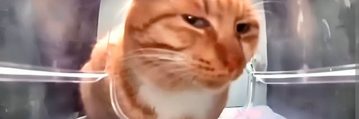 rettlee_'s profile banner image