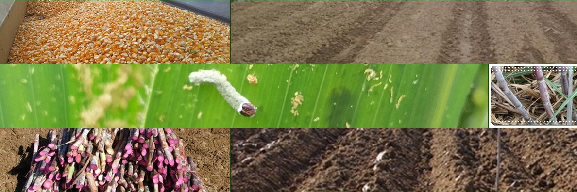 Gilberto Díaz U. banner