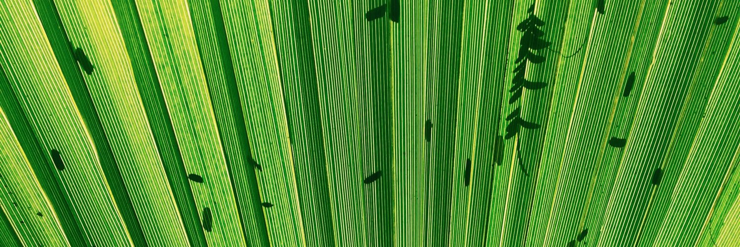 KaleKshitj's profile banner image