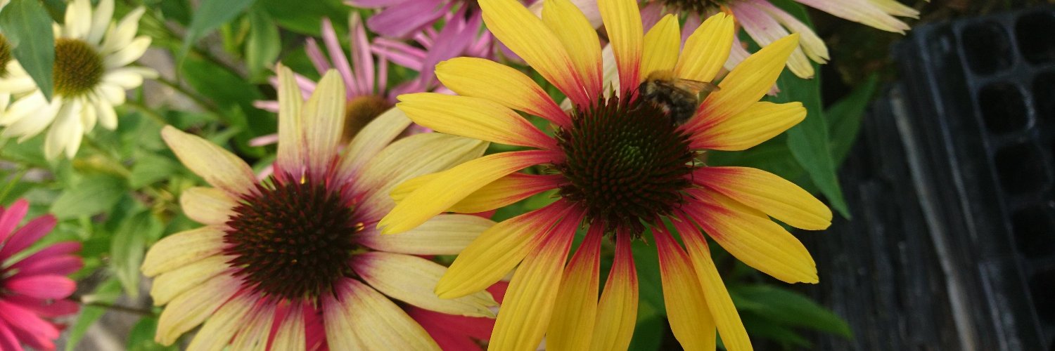 johnlenson's profile banner image