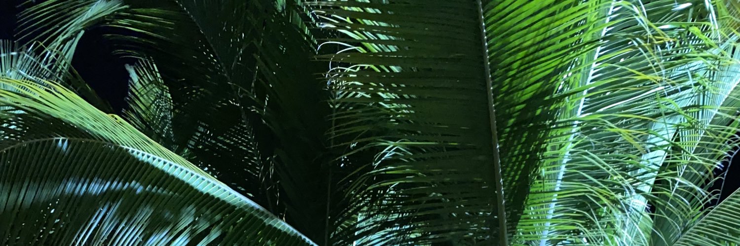 _KristLise's profile banner image