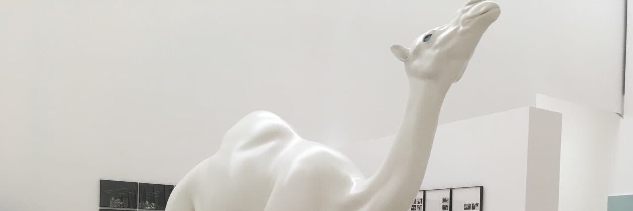 andxea_1's profile banner image