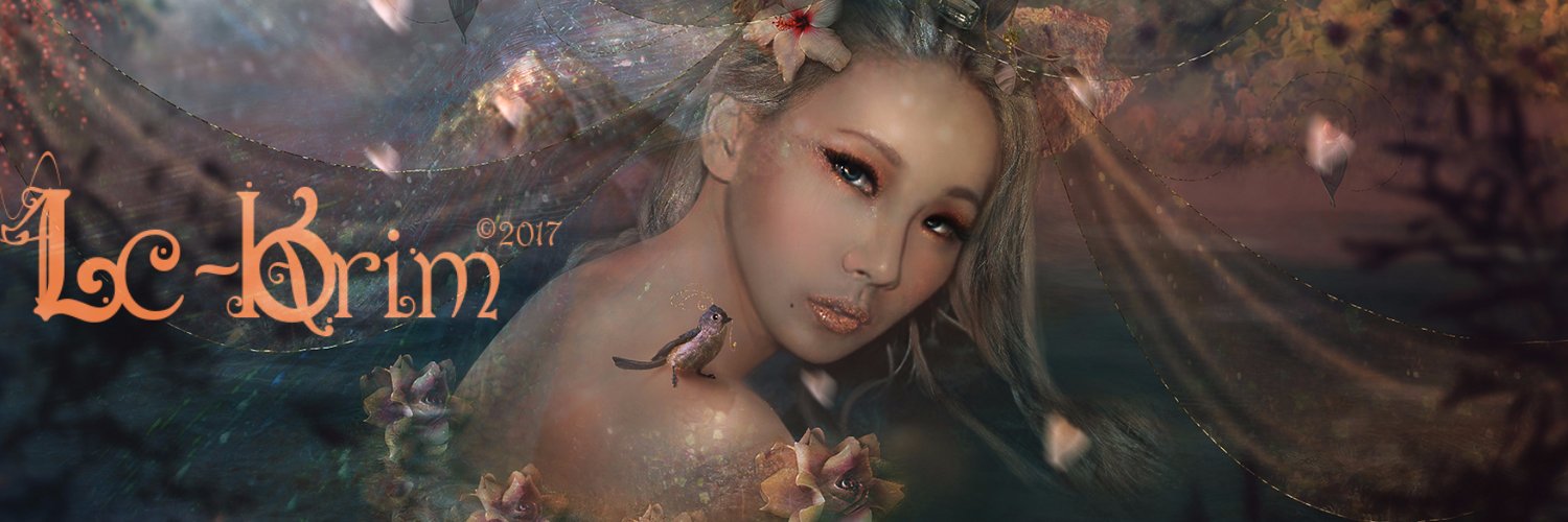 Lc_Korim's profile banner image