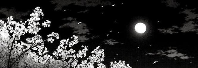 crumbleluna's profile banner image