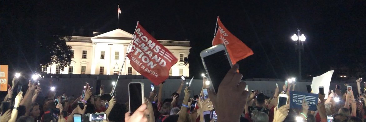 Steph Pizzoferrato banner