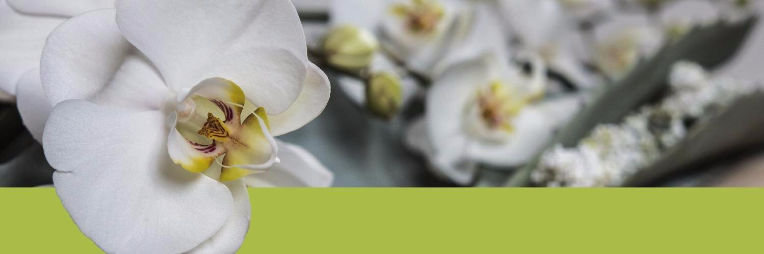 Patrick van der Ende banner