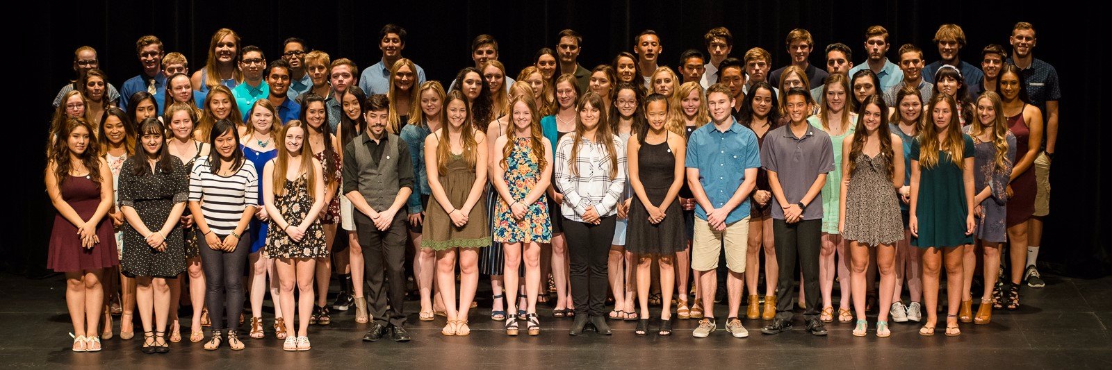 Pedrozzi Foundation banner