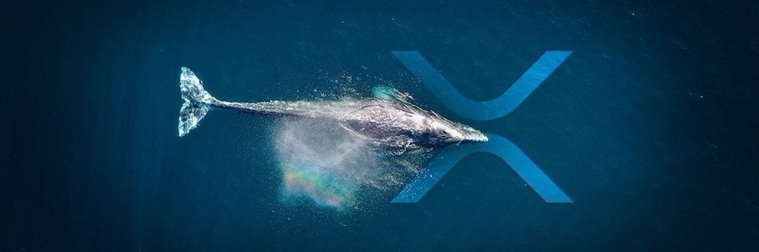 XRP whale official support banner