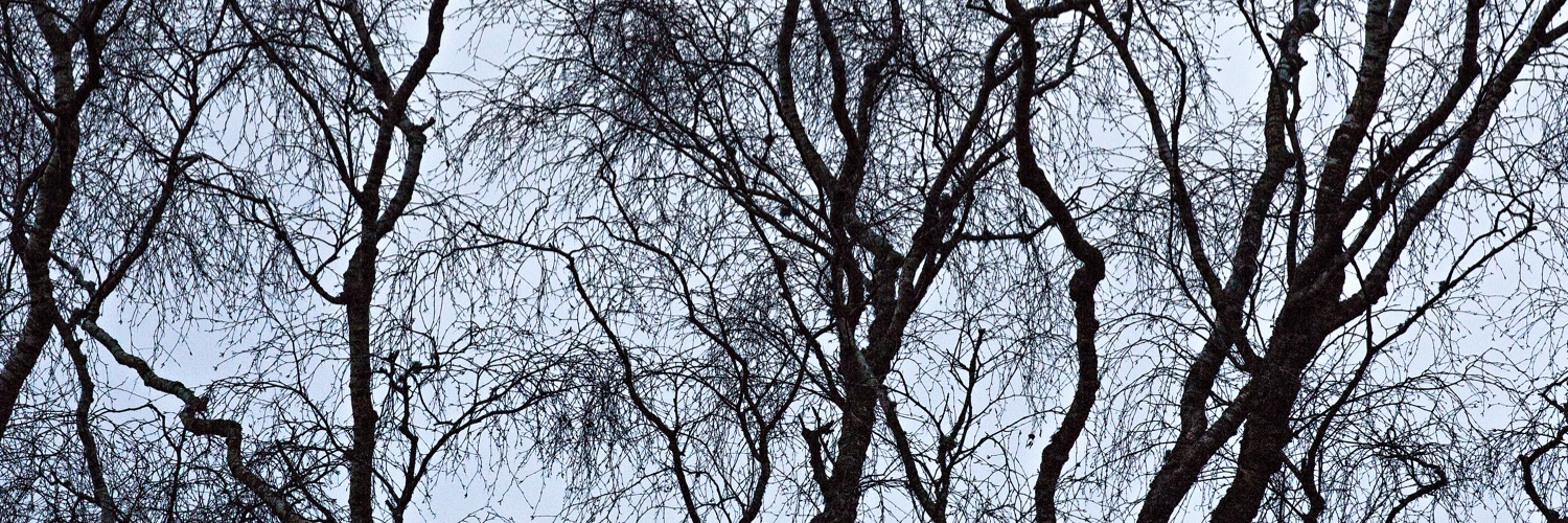 Ted Leeming and Morag Paterson banner