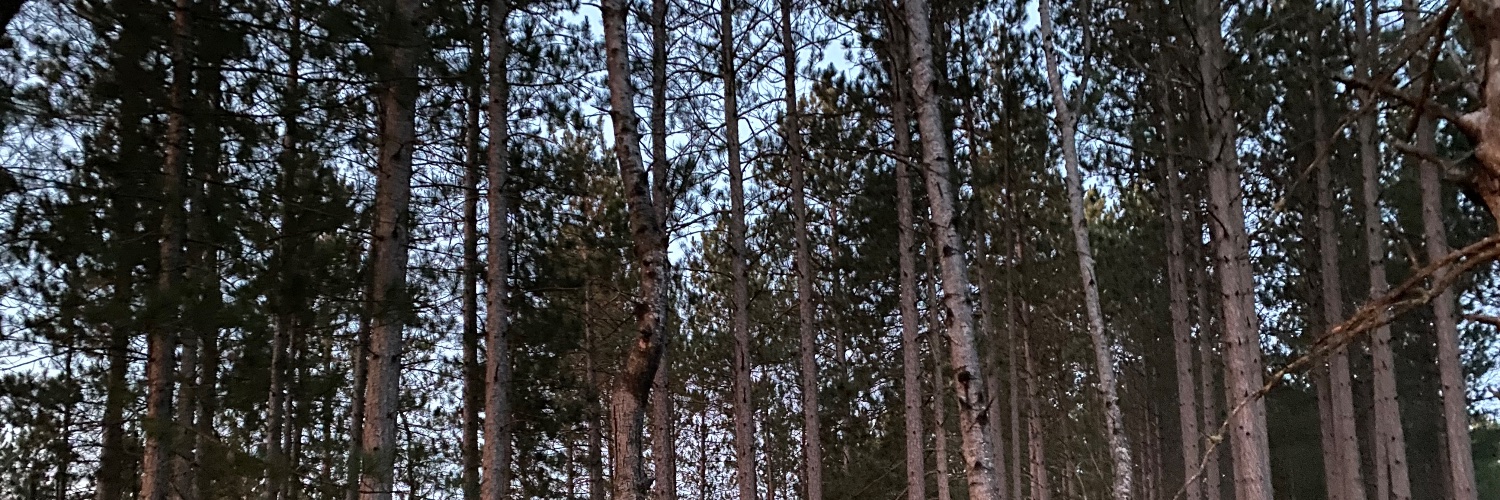 rcponto's profile banner image