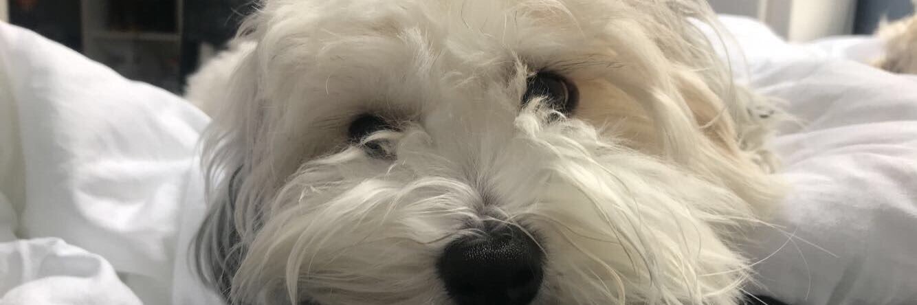 JessicaWensley1's profile banner image