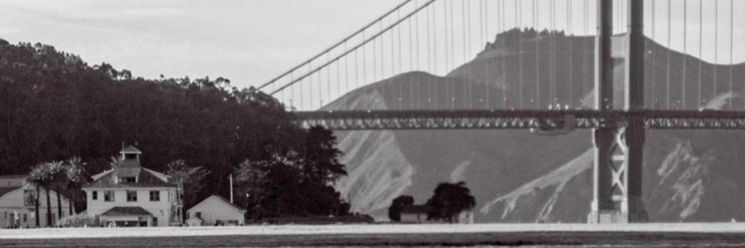 Natalie Dillon banner