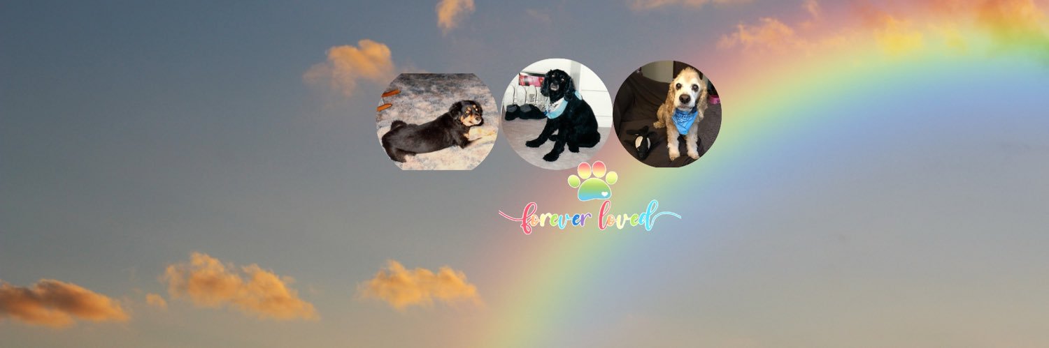 Kimberlee❤️🐶🐬🐋🦋🐞🐢🦦🐺🐧 banner