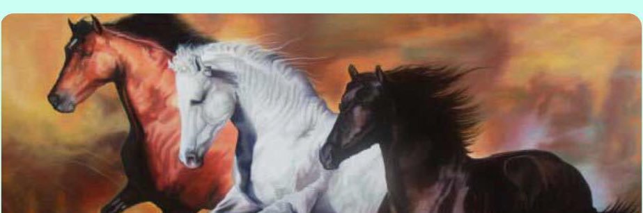 shalehalhmge's profile banner image