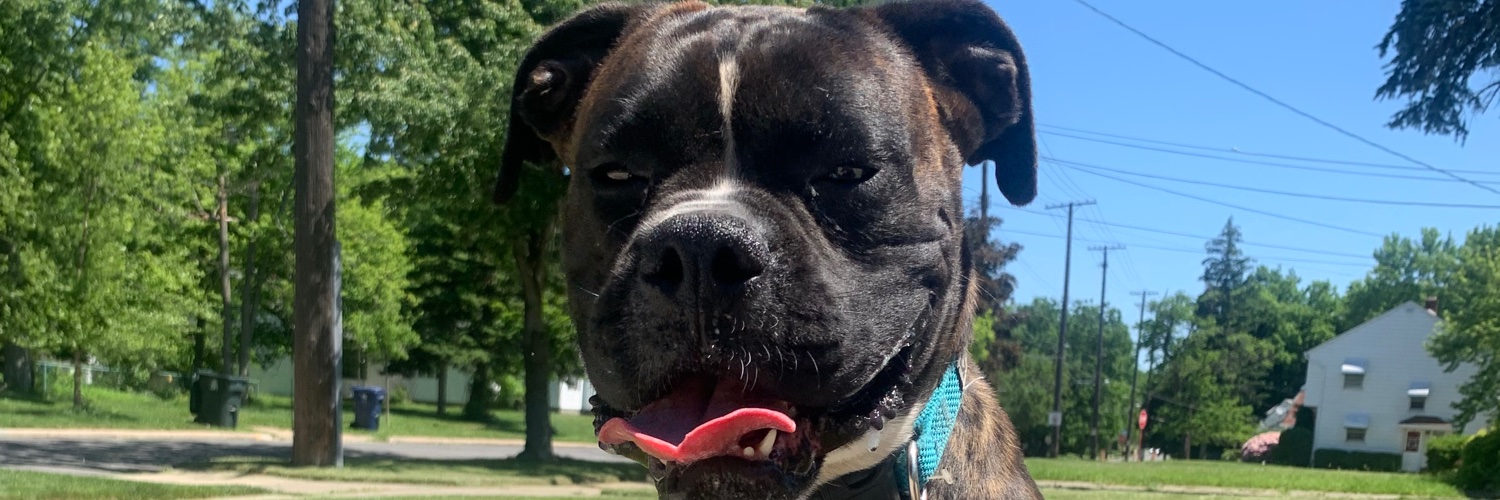 bealeighlee's profile banner image