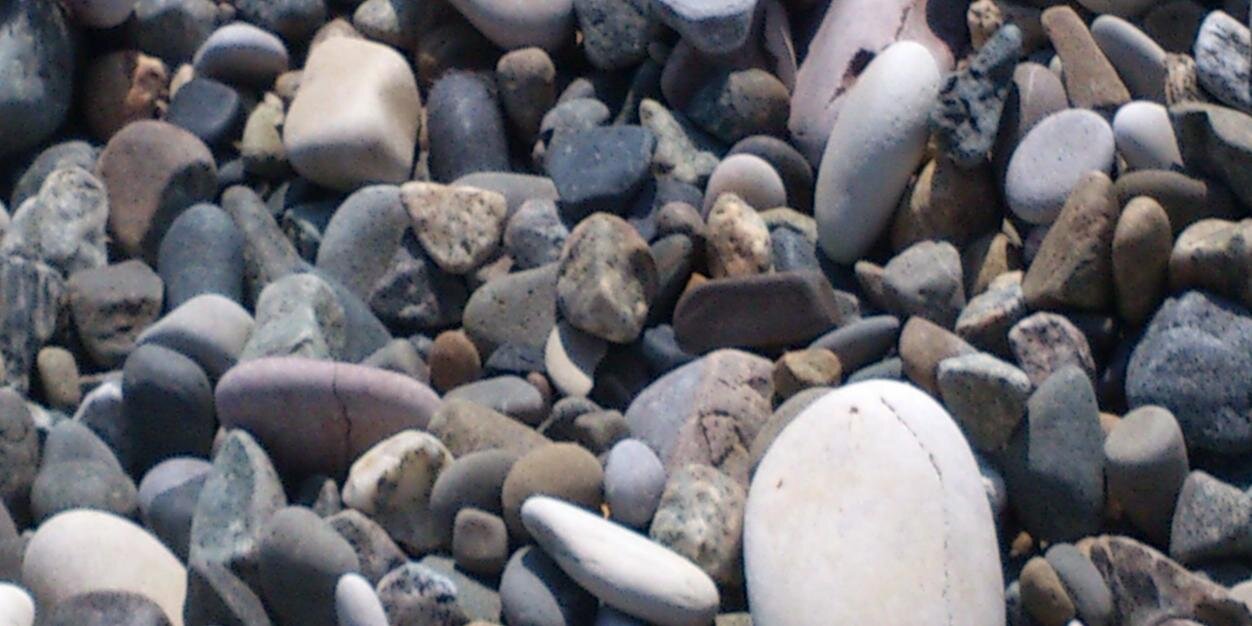 соболева надежда banner