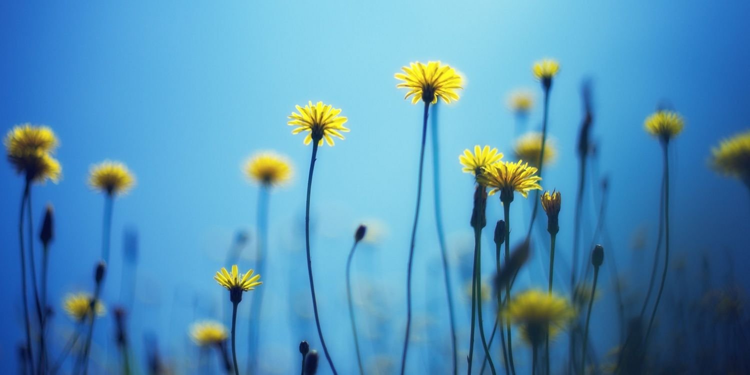 lanawalker6191's profile banner image