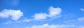 madamujuli's profile banner image
