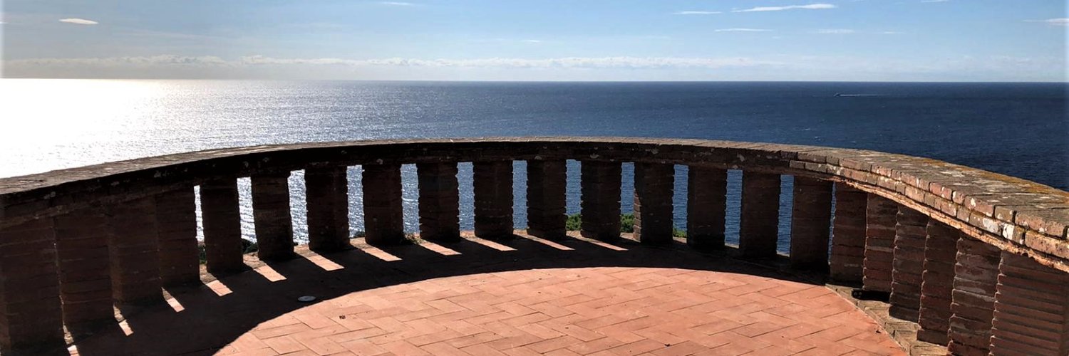 Louise Brennecke banner