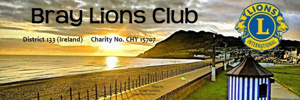 BrayLions Profile Banner