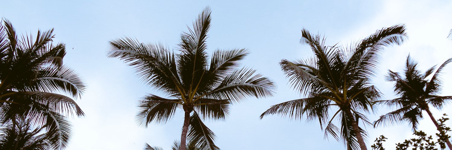 anjohansson's profile banner image