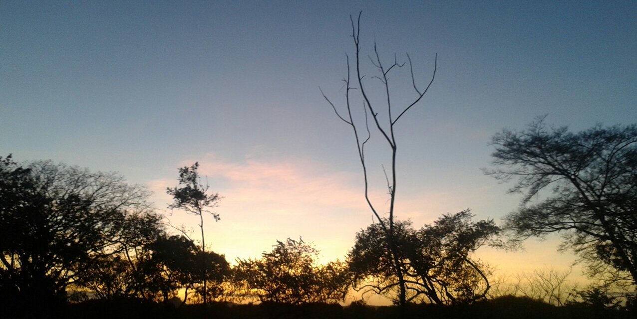 edison10232's profile banner image