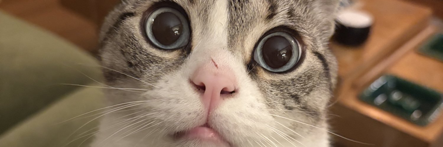 brittkaycollier's profile banner image